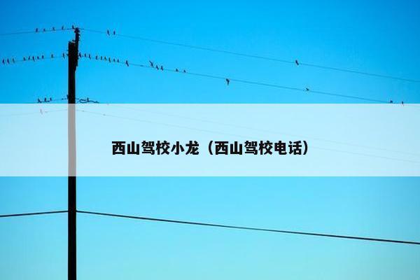 西山驾校小龙（西山驾校电话）