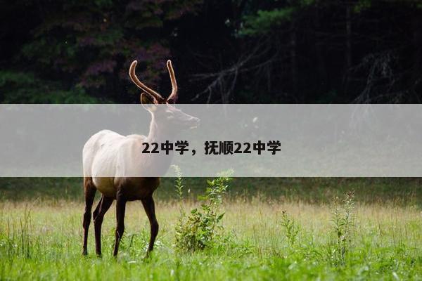 22中学，抚顺22中学