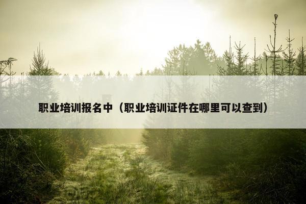 职业培训报名中（职业培训证件在哪里可以查到）