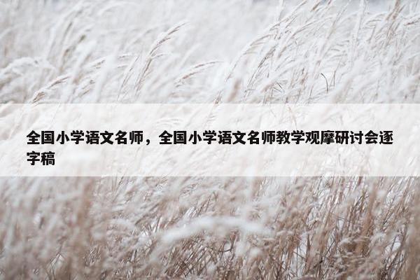 全国小学语文名师，全国小学语文名师教学观摩研讨会逐字稿
