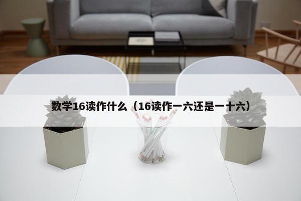 数学16读作什么（16读作一六还是一十六）