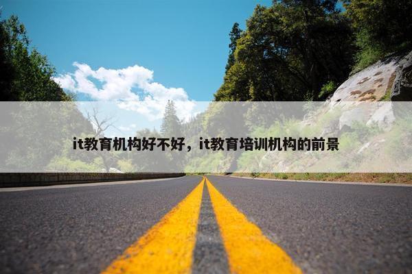 it教育机构好不好，it教育培训机构的前景