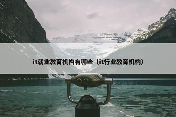 it就业教育机构有哪些（it行业教育机构）