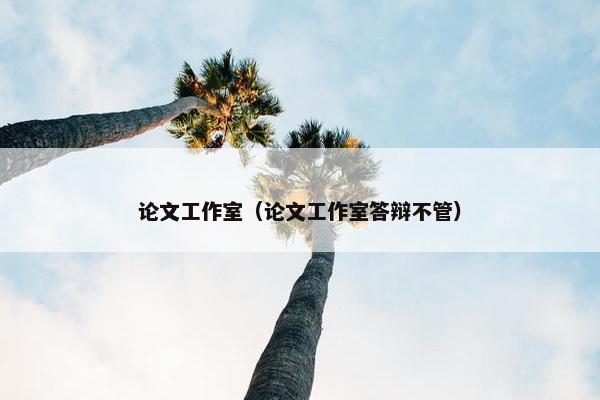 论文工作室（论文工作室答辩不管）