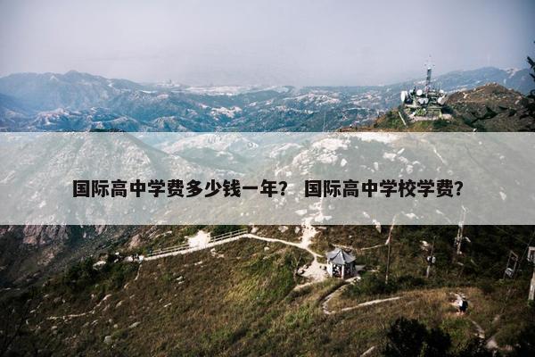 国际高中学费多少钱一年？ 国际高中学校学费？