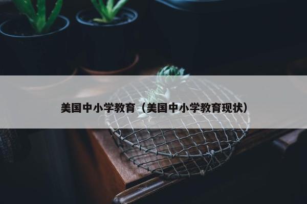 美国中小学教育（美国中小学教育现状）