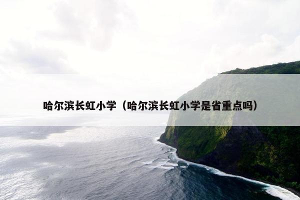 哈尔滨长虹小学（哈尔滨长虹小学是省重点吗）