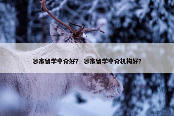 哪家留学中介好？ 哪家留学中介机构好？