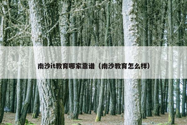 南沙it教育哪家靠谱（南沙教育怎么样）