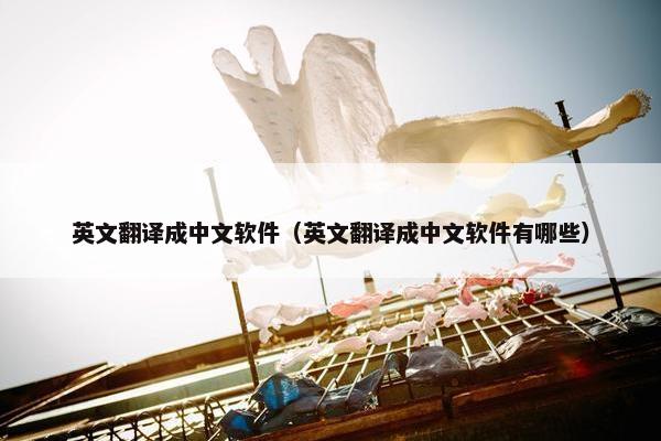 英文翻译成中文软件（英文翻译成中文软件有哪些）
