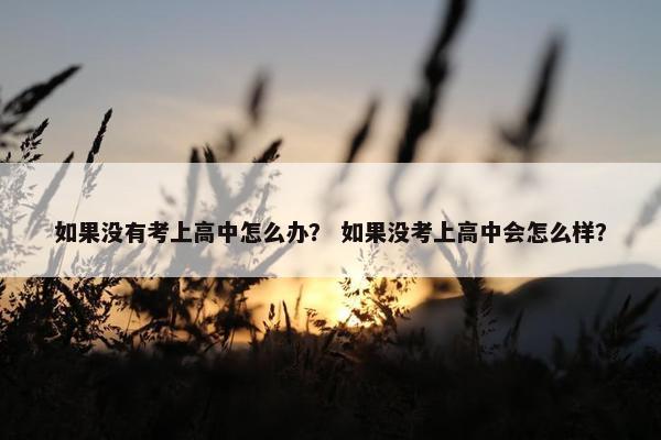如果没有考上高中怎么办？ 如果没考上高中会怎么样？