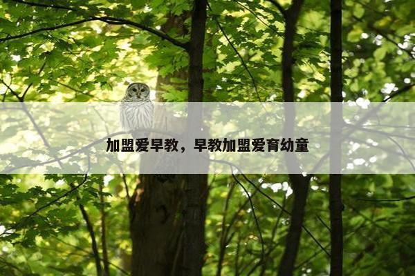 加盟爱早教，早教加盟爱育幼童