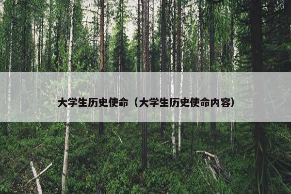 大学生历史使命（大学生历史使命内容）