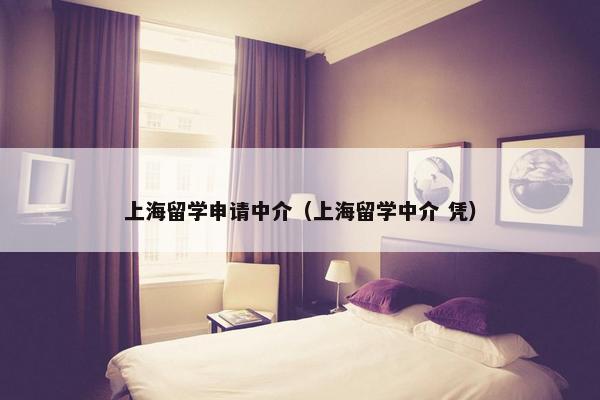 上海留学申请中介（上海留学中介 凭）