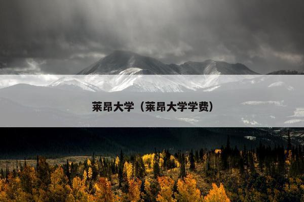 莱昂大学（莱昂大学学费）