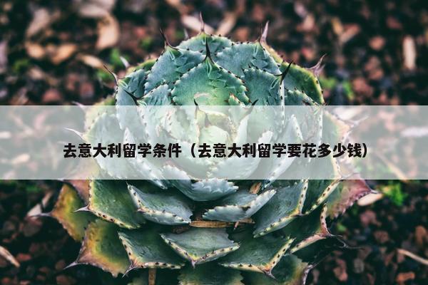 去意大利留学条件（去意大利留学要花多少钱）