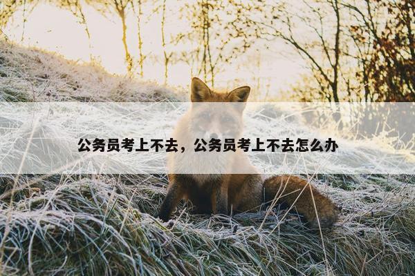 公务员考上不去，公务员考上不去怎么办