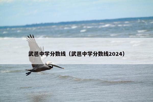 武邑中学分数线（武邑中学分数线2024）