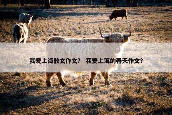 我爱上海散文作文？ 我爱上海的春天作文？