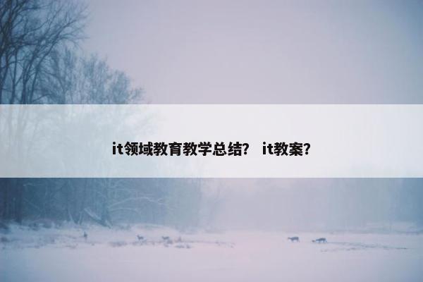 it领域教育教学总结？ it教案？
