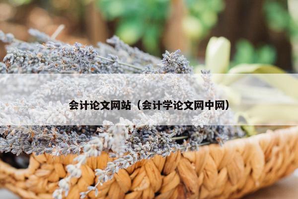 会计论文网站（会计学论文网中网）
