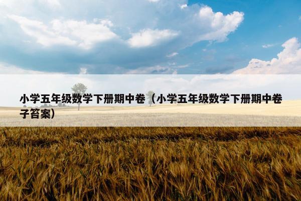 小学五年级数学下册期中卷（小学五年级数学下册期中卷子笞案）