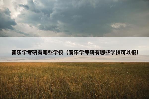 音乐学考研有哪些学校（音乐学考研有哪些学校可以报）