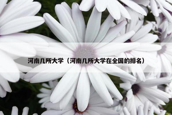 河南几所大学（河南几所大学在全国的排名）