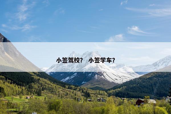 小签驾校？ 小签学车？