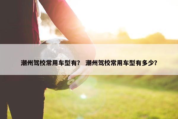潮州驾校常用车型有？ 潮州驾校常用车型有多少？