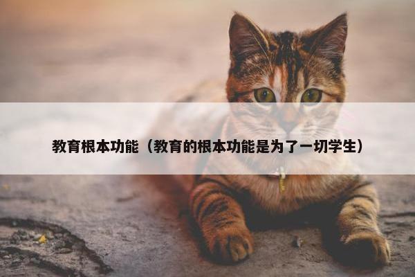 教育根本功能（教育的根本功能是为了一切学生）