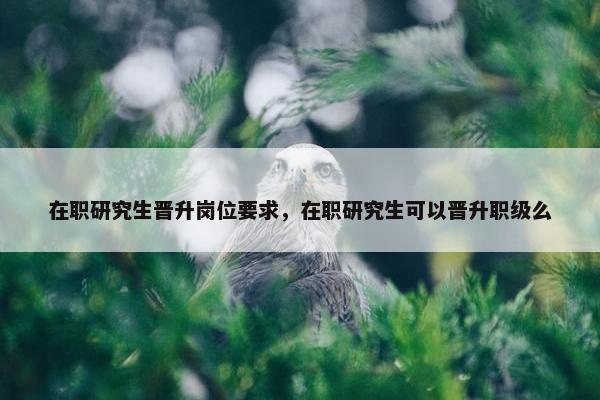 在职研究生晋升岗位要求，在职研究生可以晋升职级么
