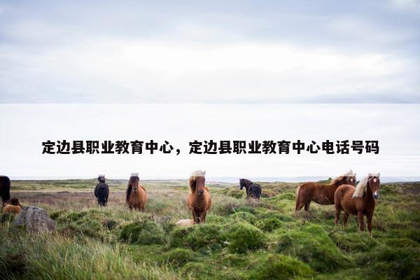 定边县职业教育中心，定边县职业教育中心电话号码