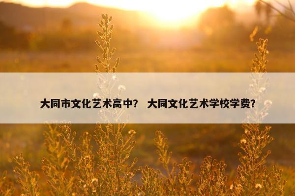 大同市文化艺术高中？ 大同文化艺术学校学费？