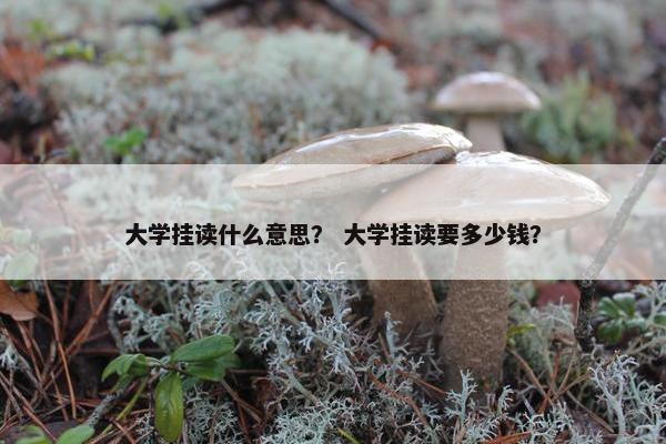 大学挂读什么意思？ 大学挂读要多少钱？