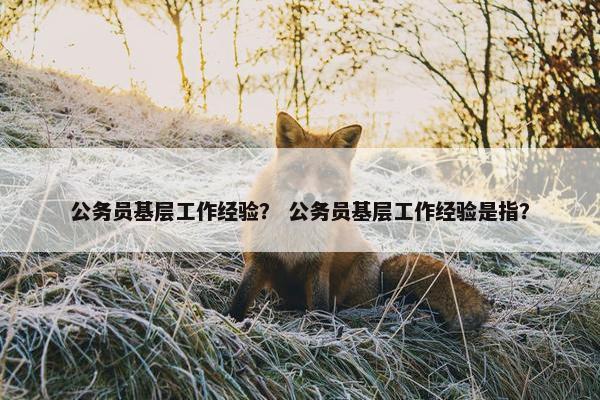 公务员基层工作经验？ 公务员基层工作经验是指？