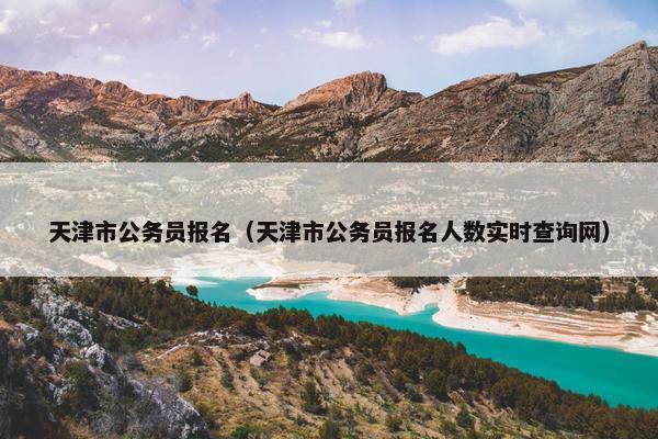 天津市公务员报名（天津市公务员报名人数实时查询网）