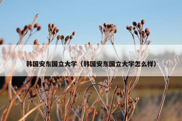 韩国安东国立大学（韩国安东国立大学怎么样）