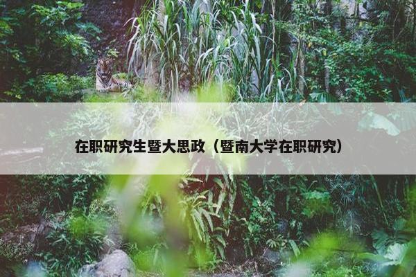 在职研究生暨大思政（暨南大学在职研究）