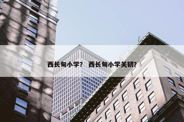 西长甸小学？ 西长甸小学关韧？