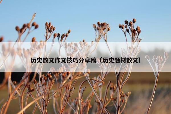 历史散文作文技巧分享稿（历史题材散文）