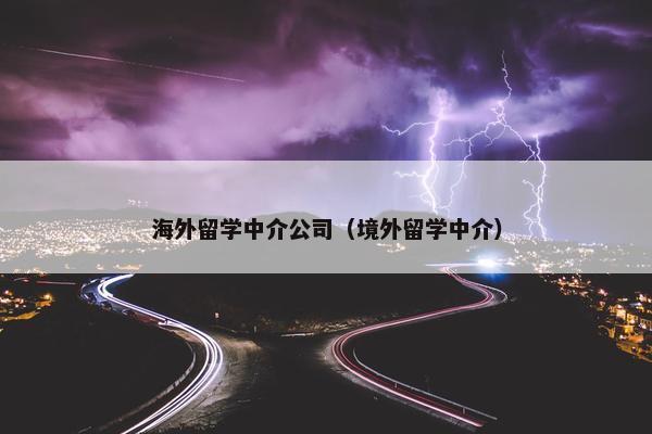 海外留学中介公司（境外留学中介）