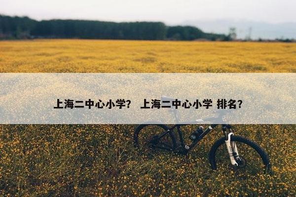 上海二中心小学？ 上海二中心小学 排名？