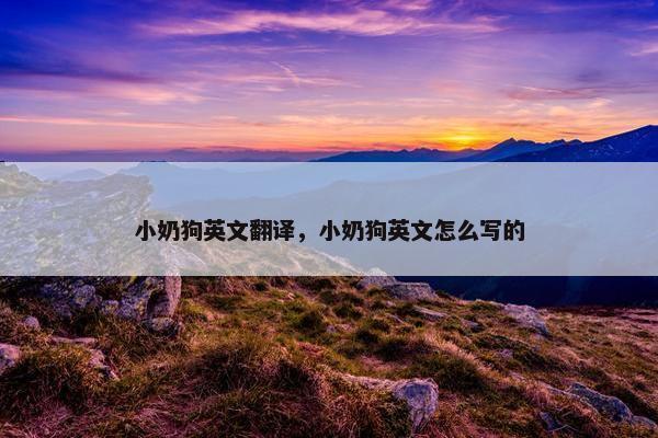 小奶狗英文翻译，小奶狗英文怎么写的