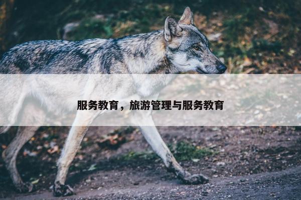 服务教育，旅游管理与服务教育