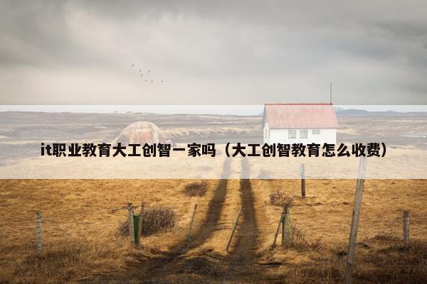 it职业教育大工创智一家吗（大工创智教育怎么收费）