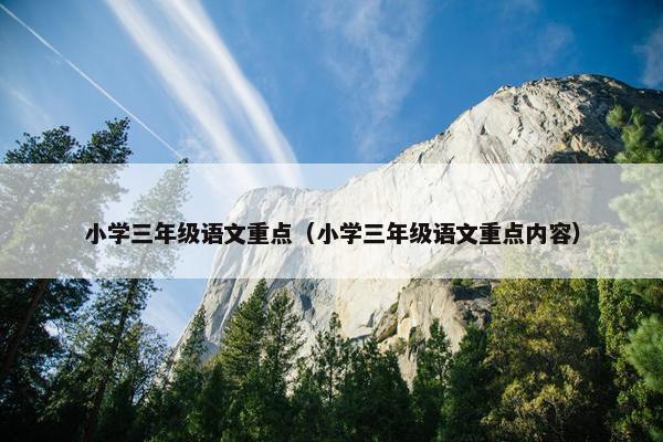 小学三年级语文重点（小学三年级语文重点内容）