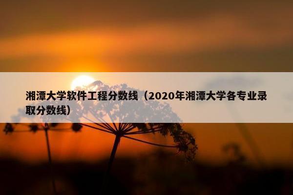 湘潭大学软件工程分数线（2020年湘潭大学各专业录取分数线）