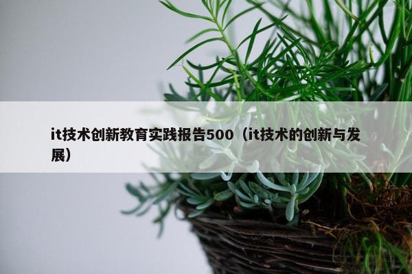 it技术创新教育实践报告500（it技术的创新与发展）
