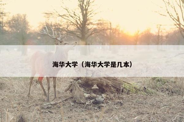 海华大学（海华大学是几本）